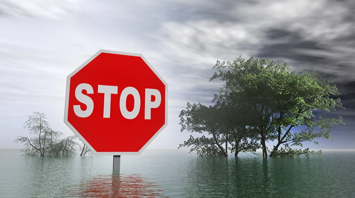 Understanding Medicare Special Enrollment Periods in Wyoming